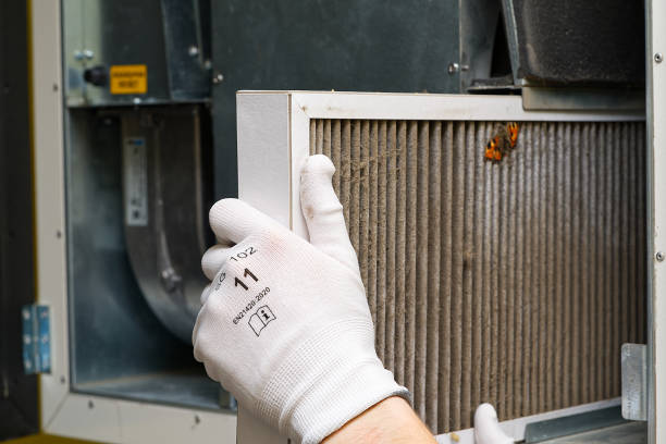 Best Local Air Duct Cleaning Services  in Tontitown, AR