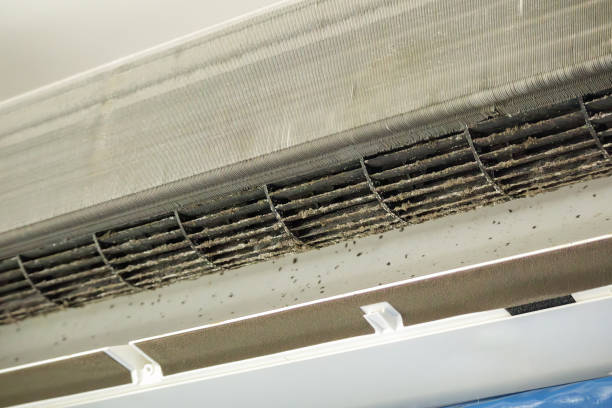 Best HVAC Duct Inspection Services  in Tontitown, AR